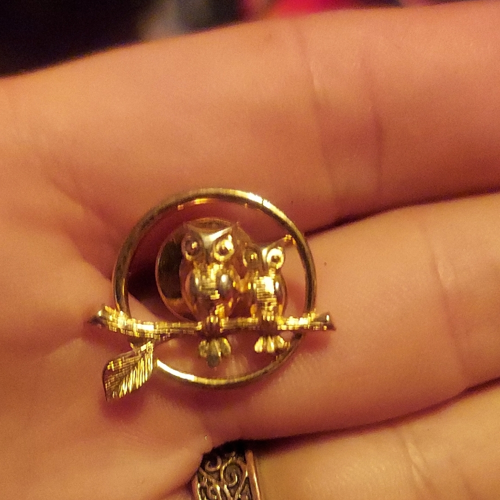 Adorable Gold Tone Vintage Owl Lapel Pin